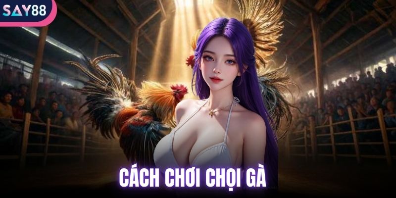 cách chơi chọi gà