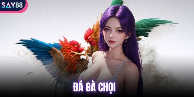 đá gà chọi