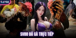 SV88 đá gà trực tiếp